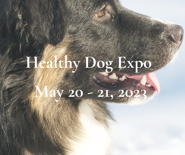 Healthy Dog Expo
