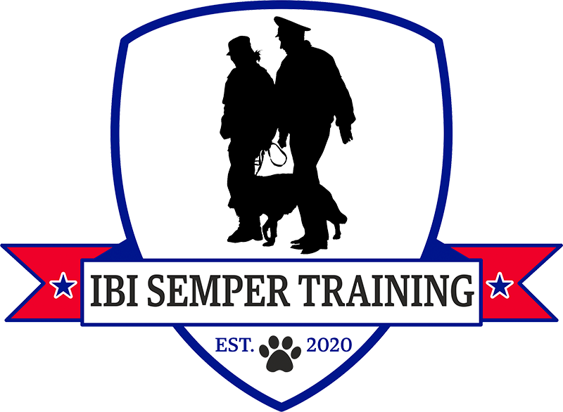 IBI Semper Training Logo
