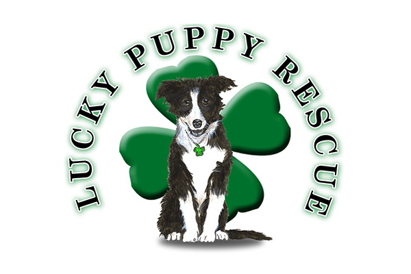 Lucky Puppy Rescue